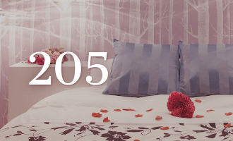 205